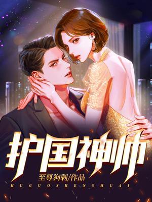 护国神帅叶无道1到100完整版
