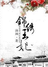 锦绣王妃泊烟讲了什么