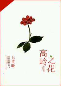 高岭之花什么意思