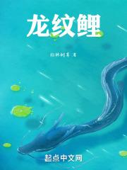 龙纹鲤鱼竿配节大全集合