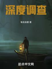什么是深度调查法