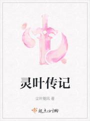 灵叶传记
